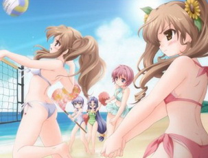 乃木板春香的秘密 Nogizaka Sunkou no Himitsu Cospla Hajime Mashita JPN PS2(日版)